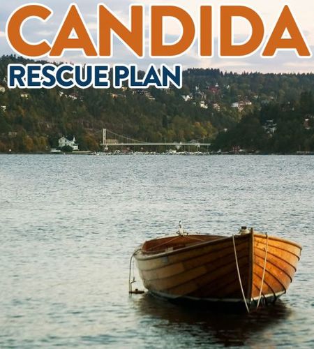 Candida Rescue Plan ( Berry Flavor)